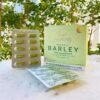 Amazing Pure Organic Barley Vegetable Capsule - Image 5