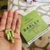 Amazing Pure Organic Barley Vegetable Capsule - Image 7