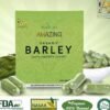 Amazing Pure Organic Barley Vegetable Capsule - Image 8